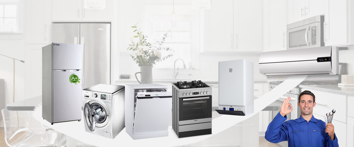 Savaştepe Electrolux Servisi